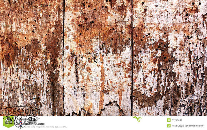 legno-marcio-20792469