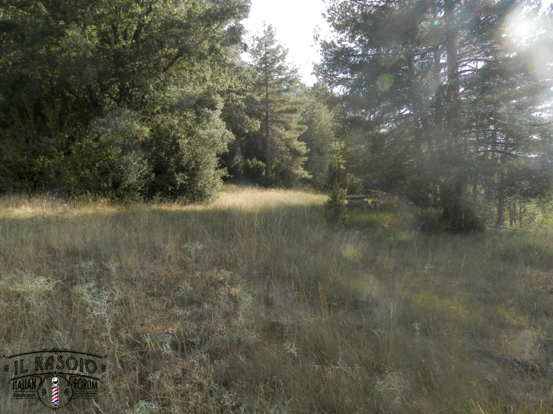 Área-recreativa-Fuente-del-Pino-Pinilla-Alto-Tajo-6