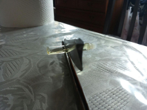 IMG-20161113-WA0000