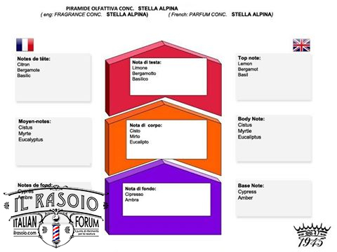 stellaAlpina_SV