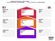 stellaAlpina_SV