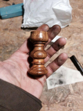 Ulivo silvertip