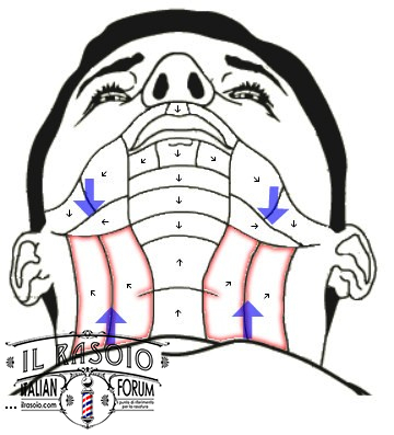 Passate di rasoio