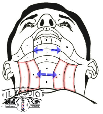 Passate di rasoio