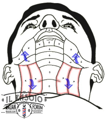 Passate di rasoio