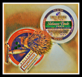 SOTD 270117
