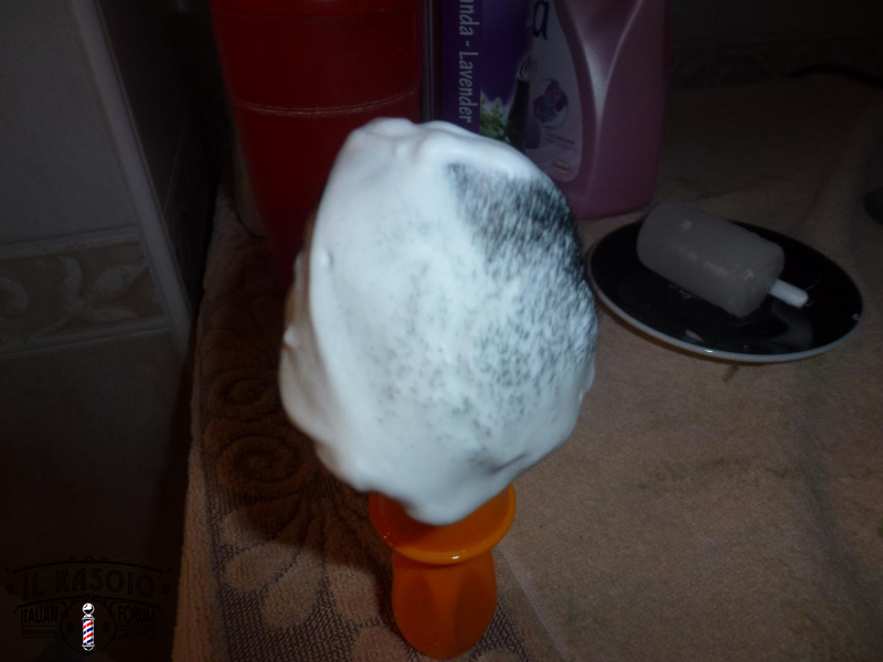P1030879