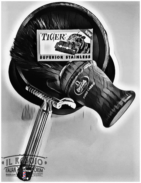 SOTD 170217