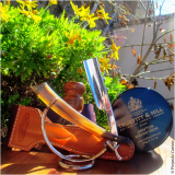 SOTD20170219 Inaffondabile