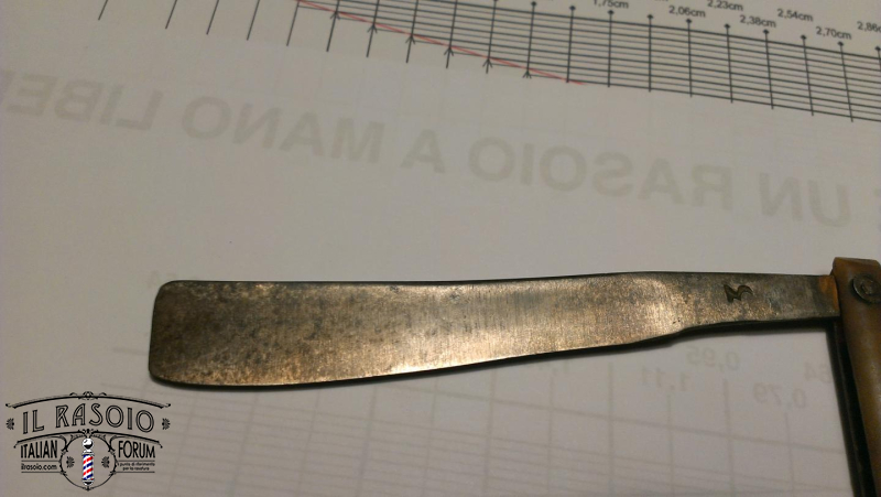 IMAG1729