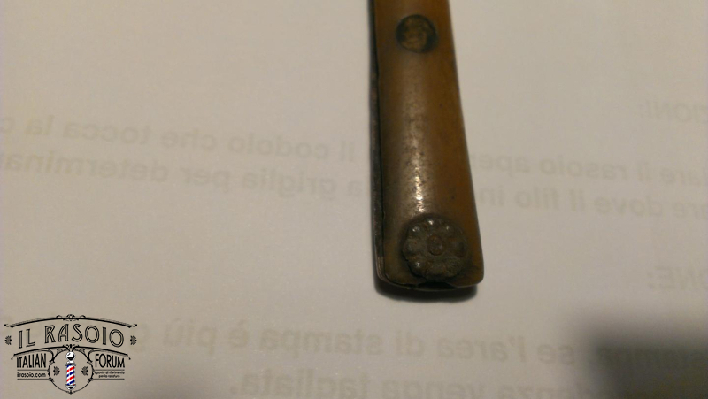 IMAG1733