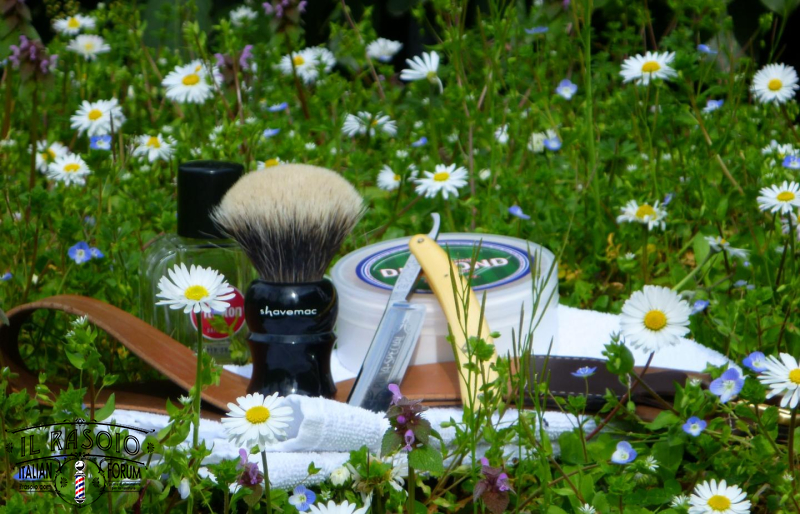 sotd 19.3.17