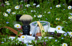 sotd 19.3.17
