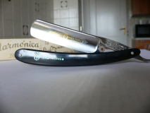 filarmonica 13 (1)