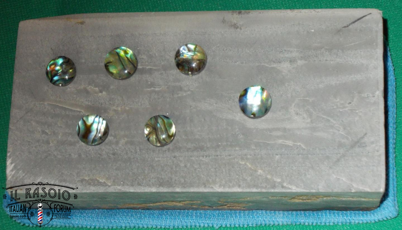 candia e dot abalone
