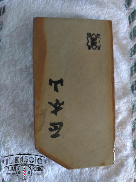 GIAPP1