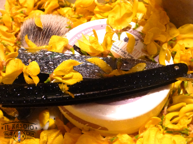 sotd 24.5.17