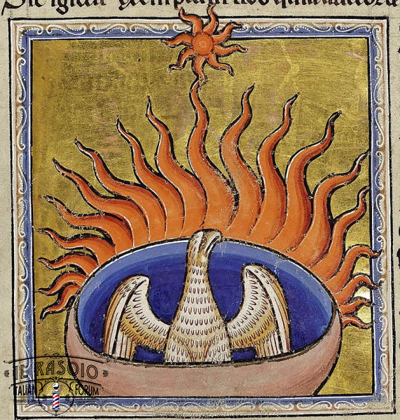 Phoenix detail from Aberdeen Bestiary