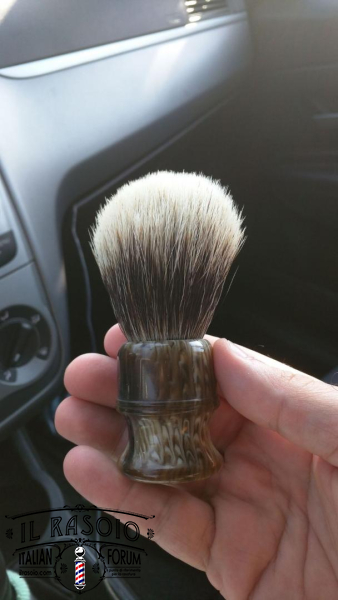 tasso new