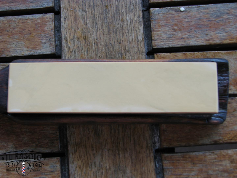 belga 5