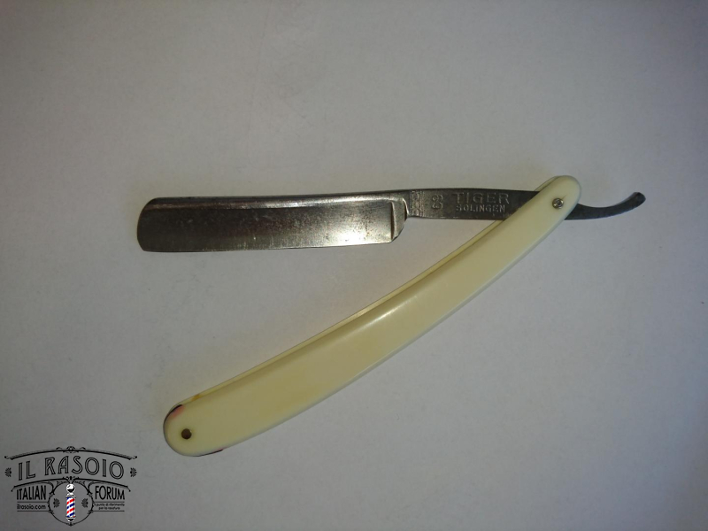 tiger 69 b