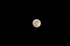 DSC 0128