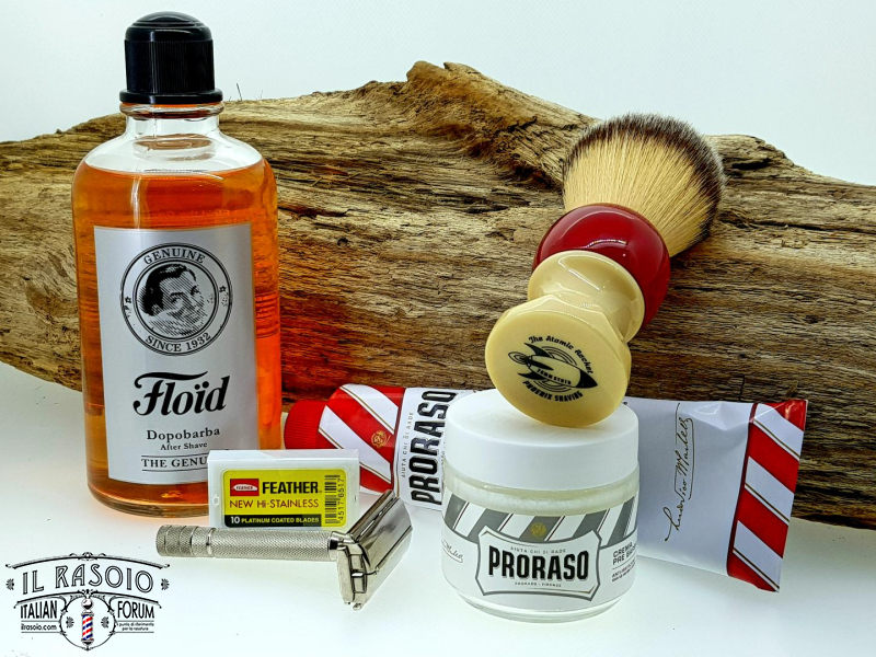 SOTD 5 Novembre 2017