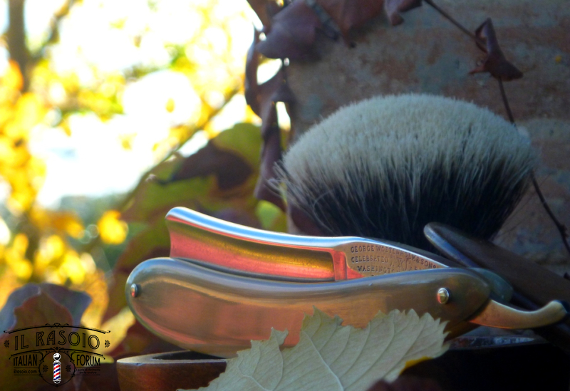 sotd 7.11.17