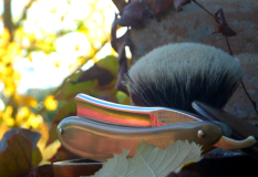 sotd 7.11.17