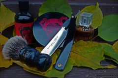 SOTD 20171108