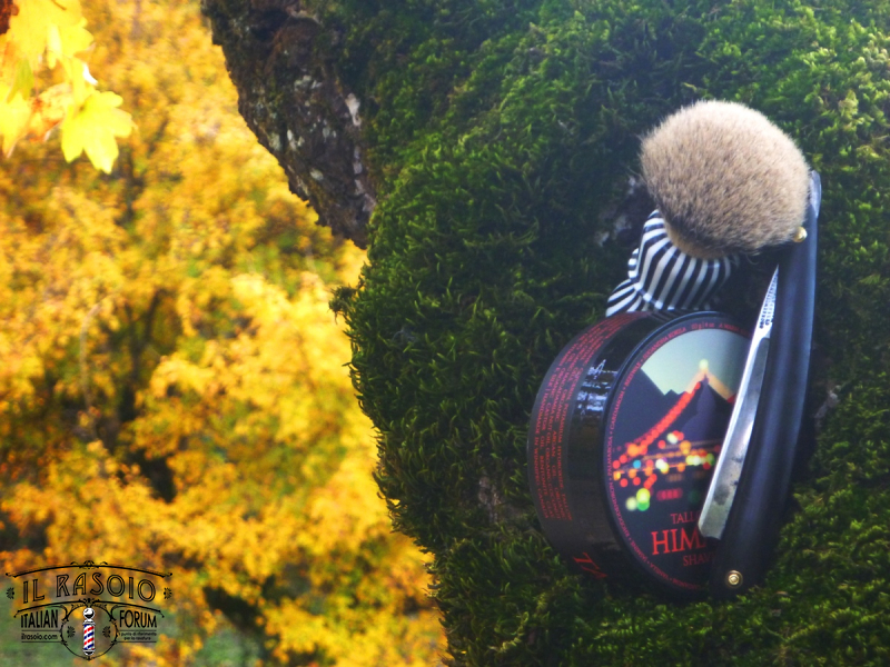 sotd 10.11.17