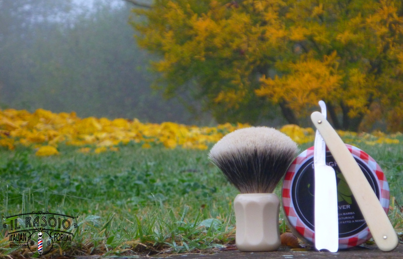 sotd 11.11.17
