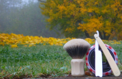 sotd 11.11.17