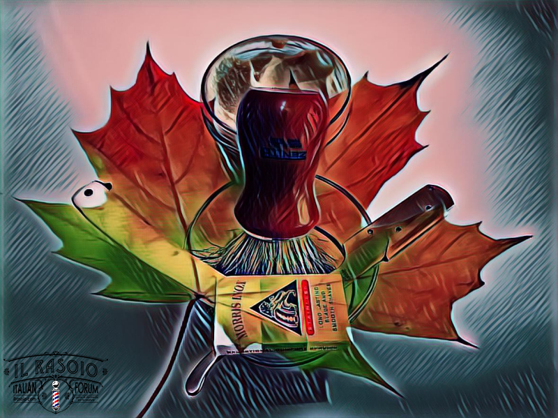 SOTD 121117