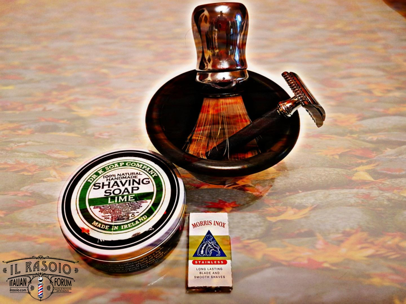 SOTD 131117