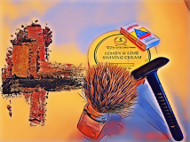 SOTD 161117