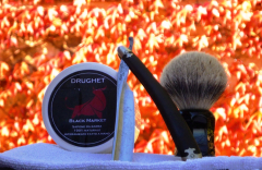 sotd 19.11.17