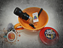 SOTD 201117