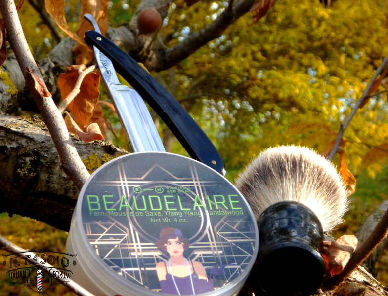 sotd  21.11.17
