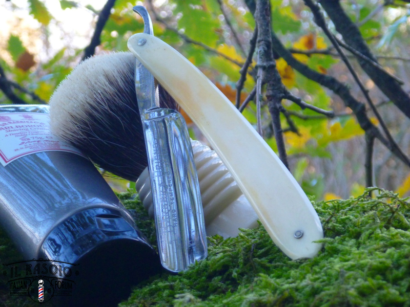 sotd 26.11.17