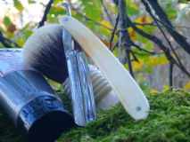 sotd 26.11.17