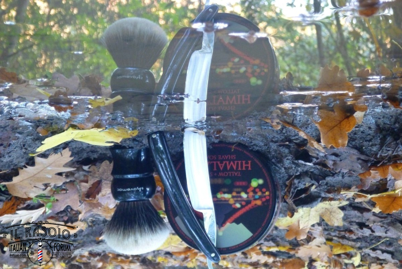 sotd 27.11.17