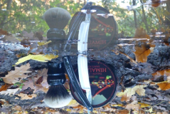 sotd 27.11.17