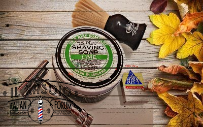 SOTD 281117