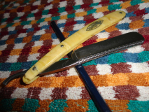 Dorso Briko 6