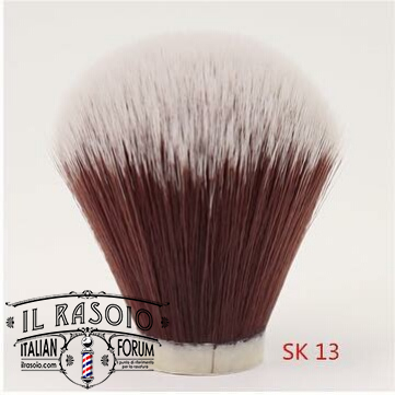 YaqiSK13 Eggplant