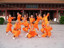 shaolin100qt3