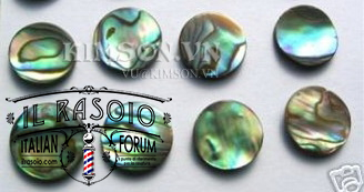 abalone-dot 3