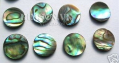 abalone-dot 3