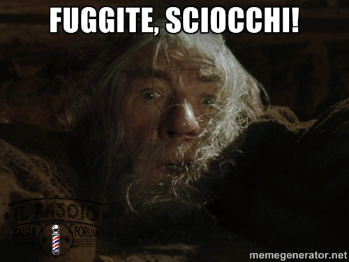 Fuggite-sciocchi